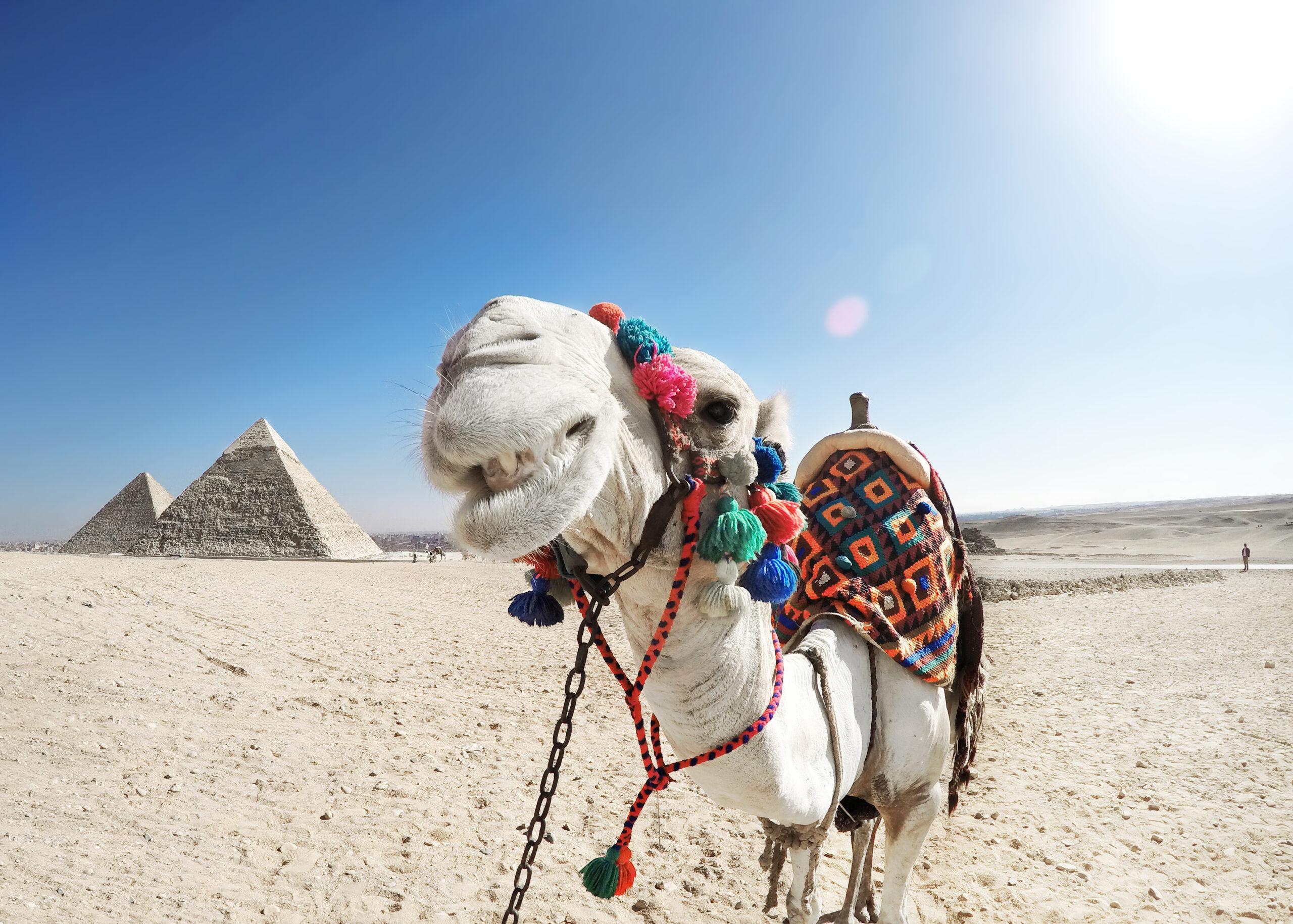 Die beste Reisezeit für Ägypten: Monat für Monat entdecken