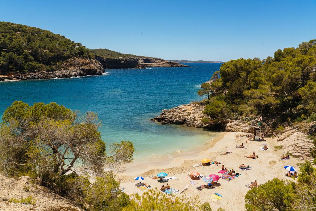 Cala Saladeta Strand Ibiza mit Badegästen und Pinien umgeben