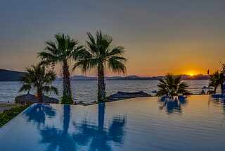 Infinity Pool bei Sonnenuntergang mit Palmen