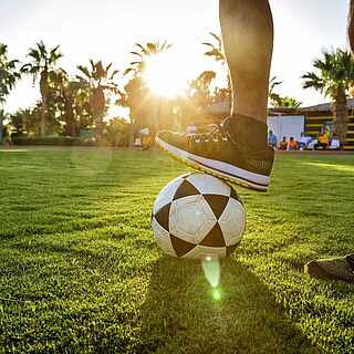 Fuß auf einem Fußball auf gepflegtem Rasen mit Palmen 